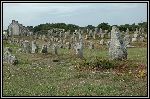 Img2005-09-05 133056.jpg